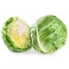 Chou cabus d'Isabelle Courcelle (La Brillanne 04) (400084)