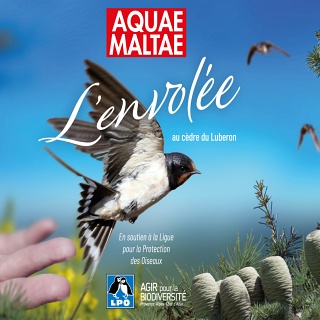 Bière L'envolée 33cl - Aquae Maltae (Aix-en-provence 13)