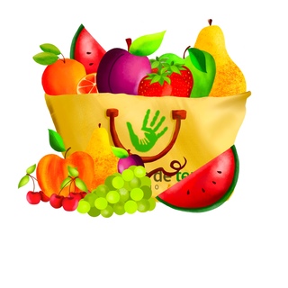 Grand panier fruits