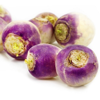 Navets des ateliers de Gaïa (Gardanne 13) X 500g