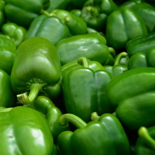 Poivrons verts d'Antoine Bordigoni (Aix-en-Provence 13)x 500g