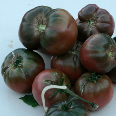 Tomates anciennes d'Antoine Bordigoni (Aix-en-Provence 13)x 500g