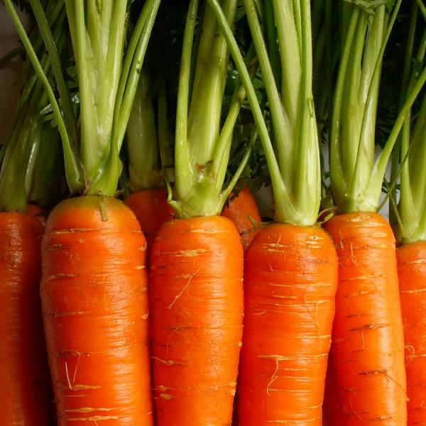 Carottes lavées de Patrick Seimandi (Aix en Provence 13) x 500g