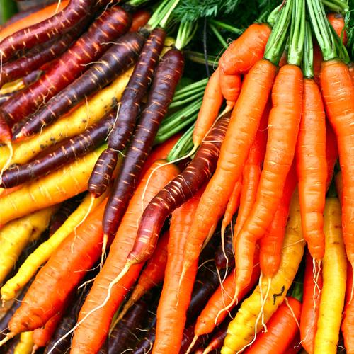 Carottes Rainbow de Baptiste Arnaud ( Lambesc 13 ) X 500g
