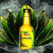 Bière Blonde au Gingembre Gincko 33cl - Aquae Maltae (Aix-en-Provence 13)