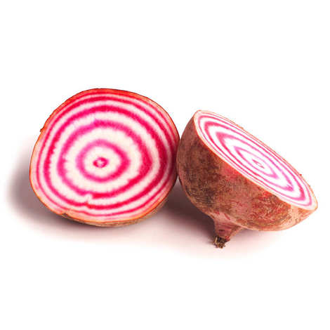 Betteraves Chioggia de Florian Pascal (Aubenas 04) x 500g