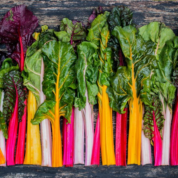 Blettes de couleur des ateliers de Gaia (Gardanne13) X 500g