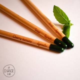 Crayon à planter