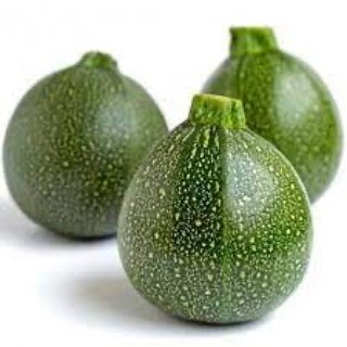 Courgette Ronde de Guy Huertas (Salon de Provence 13) X 500g