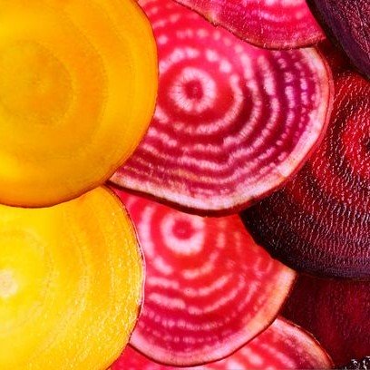 Betteraves de couleurs de Jean Paul Albignac (La Fare les Oliviers 13) x 500g