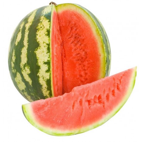 Pastèque de Louis Coustabeau (La Roque d'Anthéron 13) > 1kg
