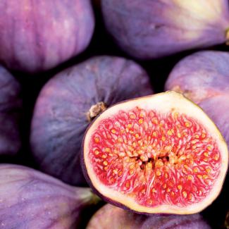 Figues de la perdrigone ( Maillane 13 ) X 500g