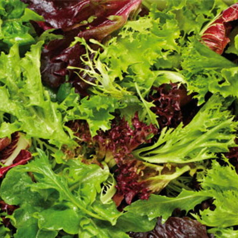 Mesclun de Baptiste Charpentier (Cabriès 13) X 150g