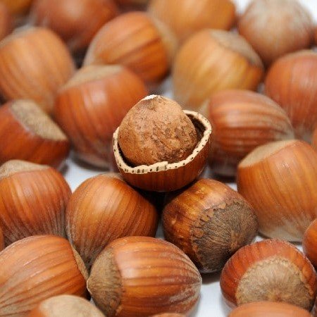 Noisettes de Patrick Berghmann ( San Nicolao/ Corse ) X 250g