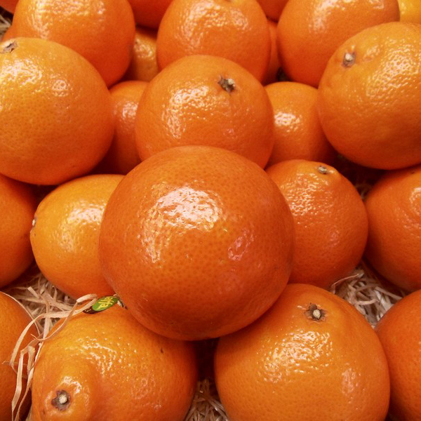 Minéola de Patrick Berghman (San Nicolao Corse) x 500g
