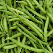 Haricots verts de Sylvie Augier (Saint Saturnin lès Apt 84) (113640)