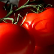 Tomates rondes de Michel Seimandi (Ventabren 13) (73950)