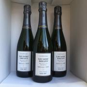 Leclerc Briant - Extra Brut - AOP Champagne - 2010 - 75cl
