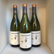 Marrenon - AOP Luberon - Amountanage - Blanc - 2017 - 75cl