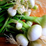 Oignons blancs de Michel Seimandi (Ventabren 13 ) (76532)