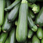 Courgettes de Jean-Philippe Sans (La Fare les oliviers 13) +/- (63329)