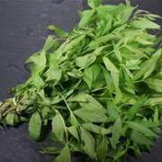 Botte de verveine de Louis Coustabeau ( La Roque d'Anthéron 13 )