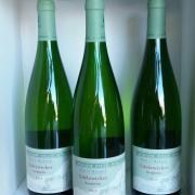 Domaine spielman - Edelzwicker - Blanc Alsace 1L