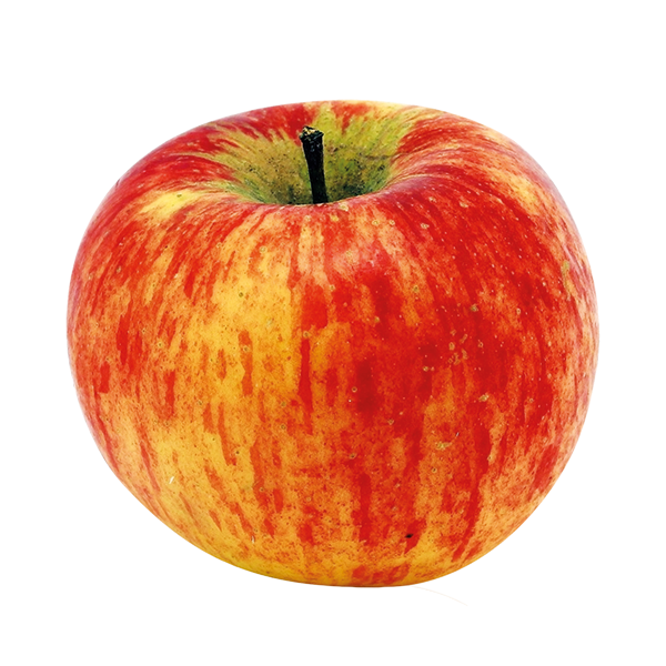 Pommes Topaz de Christine CHAIX (Manosque 04) x 500g